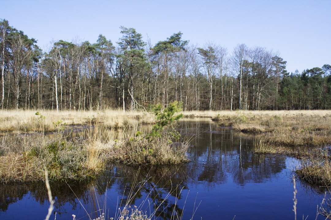veluwe forest dutch myths