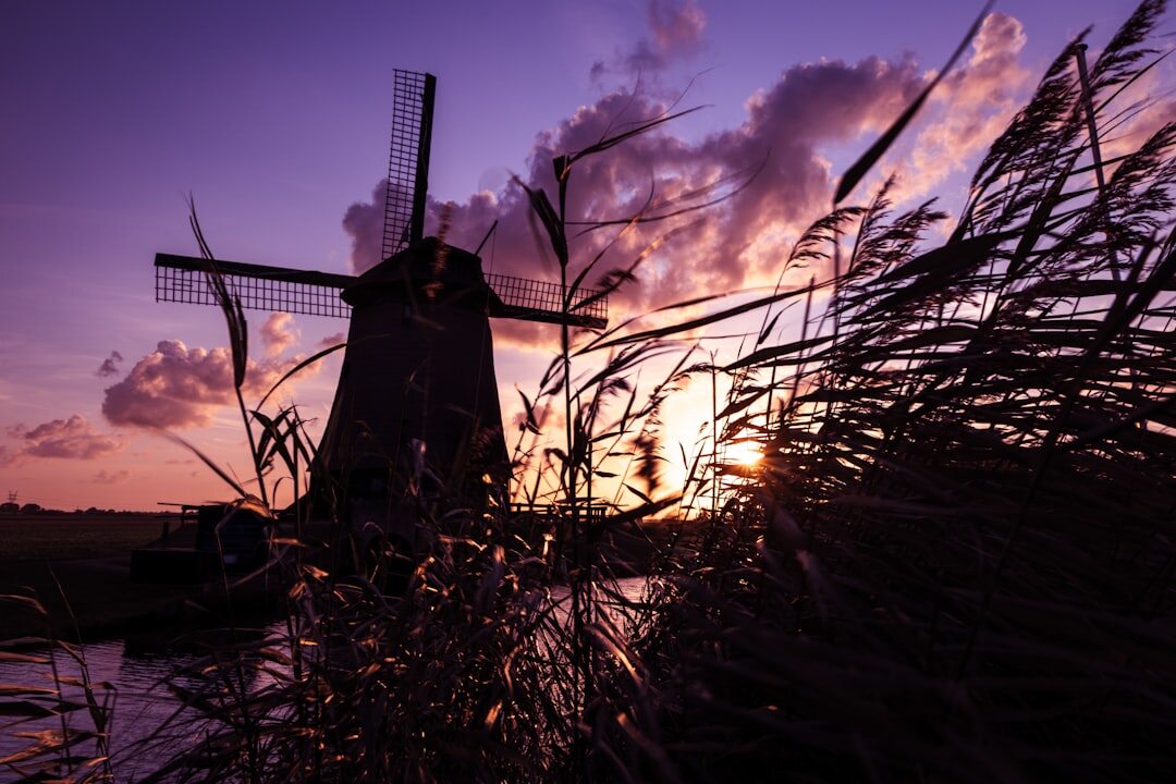 dutch windmill at dusk